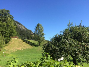 Ferienwohnungen Landinger